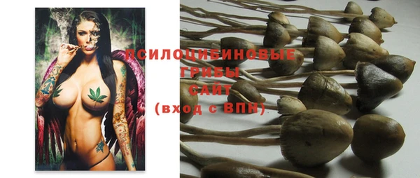 винт Армянск