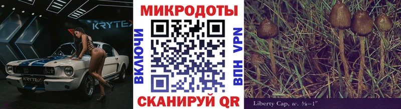 где продают наркотики  Сосновоборск  Галлюциногенные грибы прущие грибы 